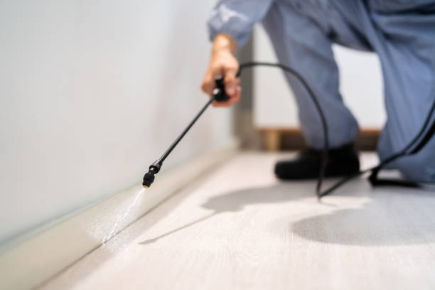 Licensed Termite Control service in Vermillion County County, IN - Nex Pest Control