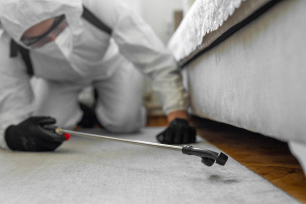 Professional Termite Control technician working in Vermillion County County, IN